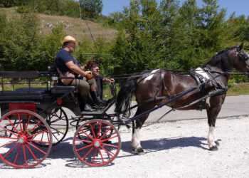 120-anni-di-fieracavalli-un-viaggio-di-700-km-in-diligenza-postale