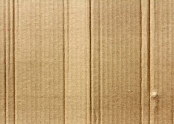 comieco-ed-elio-e-le-storie-tese-cambiano-musica-alla-raccolta-carta-e-cartone