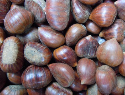 castagne-litalia-deve-importare