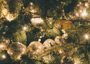 la-magia-delle-feste-prende-vita-ad-albano-laziale-con--castelli-di-natale