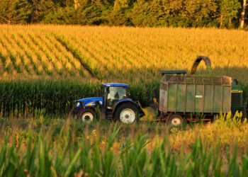 cereali-prezzi-altalenanti