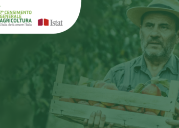 censimento-agricoltura-il-15-delle-aziende-ha-gia-risposto
