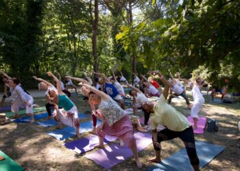 cervia---un-crowdfunding-per-sostenere-la-pineta-e-il-grande-evento-di-yoga
