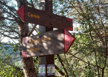 a-imperia-una-raccolta-fondi-per-il-parco-sensoriale-del-ciapa-di-cervo