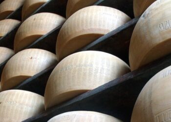 cheese-2017-a-settembre-a-bra