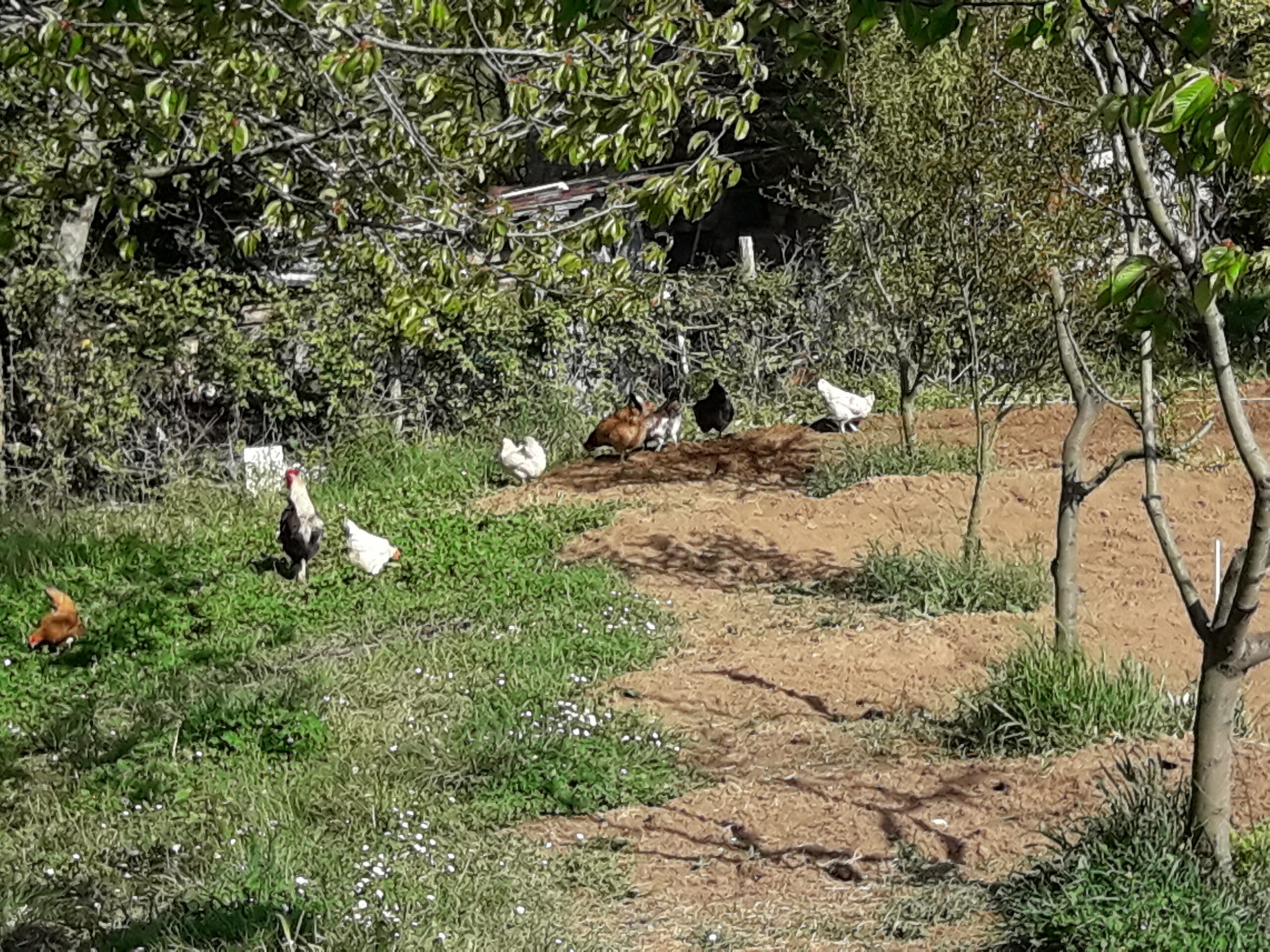 assicurazioni-agricole-sbloccati-rimborsi