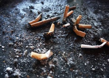 estate-le-regola-auree-per-non-nuocere-allambiente