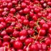 maltempo-e-scarso-caldo-frutta-estiva-in-grande-pericolo