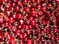 ciliegie-crollo-dei-prezzi-in-puglia