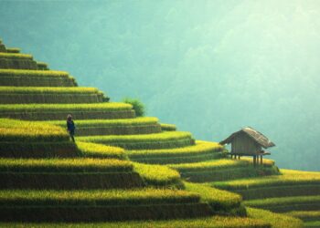 ue---cina-la-reciproca-protezione-delle-eccellenze-alimentari