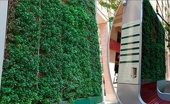 enea-testa-‘citytree-il-pannello-‘mangia-smog-per-le-citta