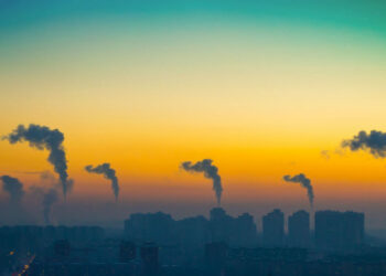 clima-le-specie-che-proteggono-dal-climate-change
