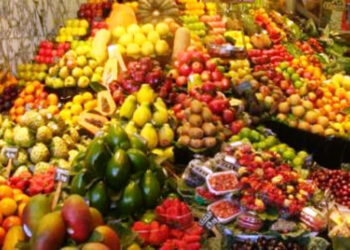 Italia-Tunisia: al via accordo di promozione di investimenti agricoli