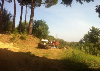 il-senato-approva-il-collegato-agricoltura