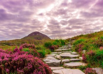 “cantine-di-natale”-a-spasso-per-i-colli-bolognesi--per-le-idee-regalo