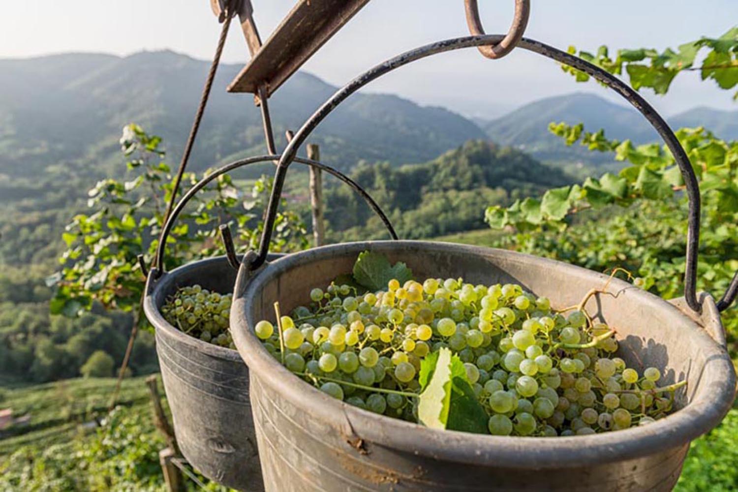 colline-del-prosecco-candidate-allunesco