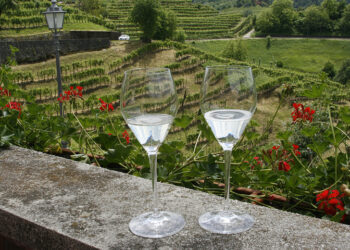 le-colline-del-prosecco-e-del-soave-nel-registro-dei-paesaggi-rurali