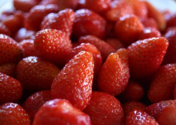 fragole-calano-le-superfici-coltivate-ma-non-in-lucania