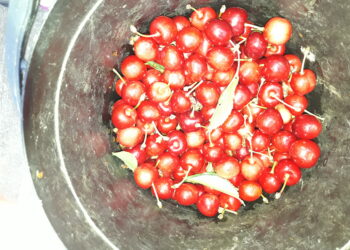 agroalimentare-nel-20017-boom-dellexport-ma-cresce-limport