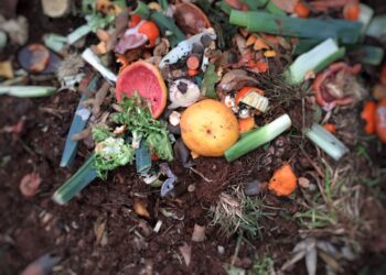 giornata-mondiale-del-riciclo-cic-“recovery-fund-decisivo-per-valorizzare-il-settore-del-biowaste-e-colmare-il-gap-impiantistico”