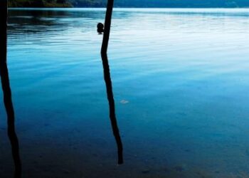 concessioni-demaniali-illegittime-per-leuropa