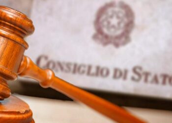 consiglio-di-stato-piena-operativita-per-il-caa-copagri