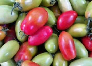 agroalimentare-non-crescono-i-consumi