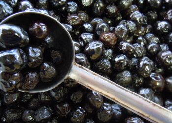 consumi-lagroalimentare-va-meglio-di-altri-settori