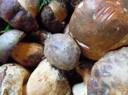 Consumi alimentari: calo lento ma inesorabile