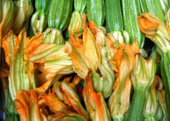 crollano-i-consumi-di-frutta-e-verdura