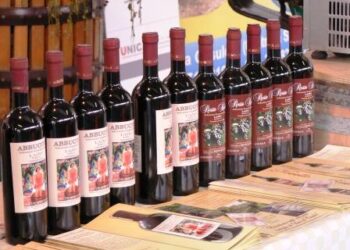 Italia primo produttore mondiale di vino