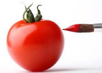 il-mercato-globale-della-contraffazione