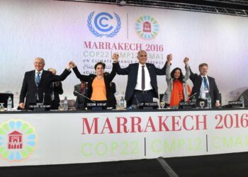 cop22-obiettivo-sostanzialmente-raggiunto