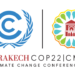 ambiente-parte-oggi-a-marrakech-la-cop22