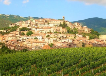 nasce-il-consorzio-volontario-per-la-tutela-e-la-valorizzazione-dei-vini-doc-cori