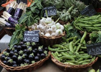 ismea-costi-produttivi-in-crescita-quasi-del-20-nel-primo-trimestre-del-2022