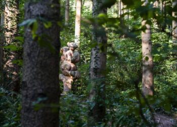 nuovi-boschi-in-lombardia-e-toscana--ottengono-il-bollino-verde-per-i-benefici-ecologici-offerti