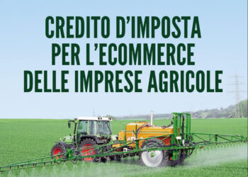 come-funziona-il-credito-dimposta-2016-e-commerce-agricoltura