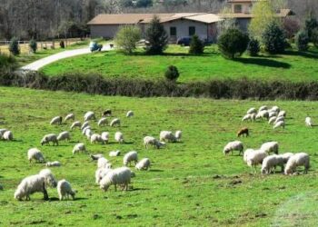 L'indagine Ismea sull'agriturismo in Italia e all'estero