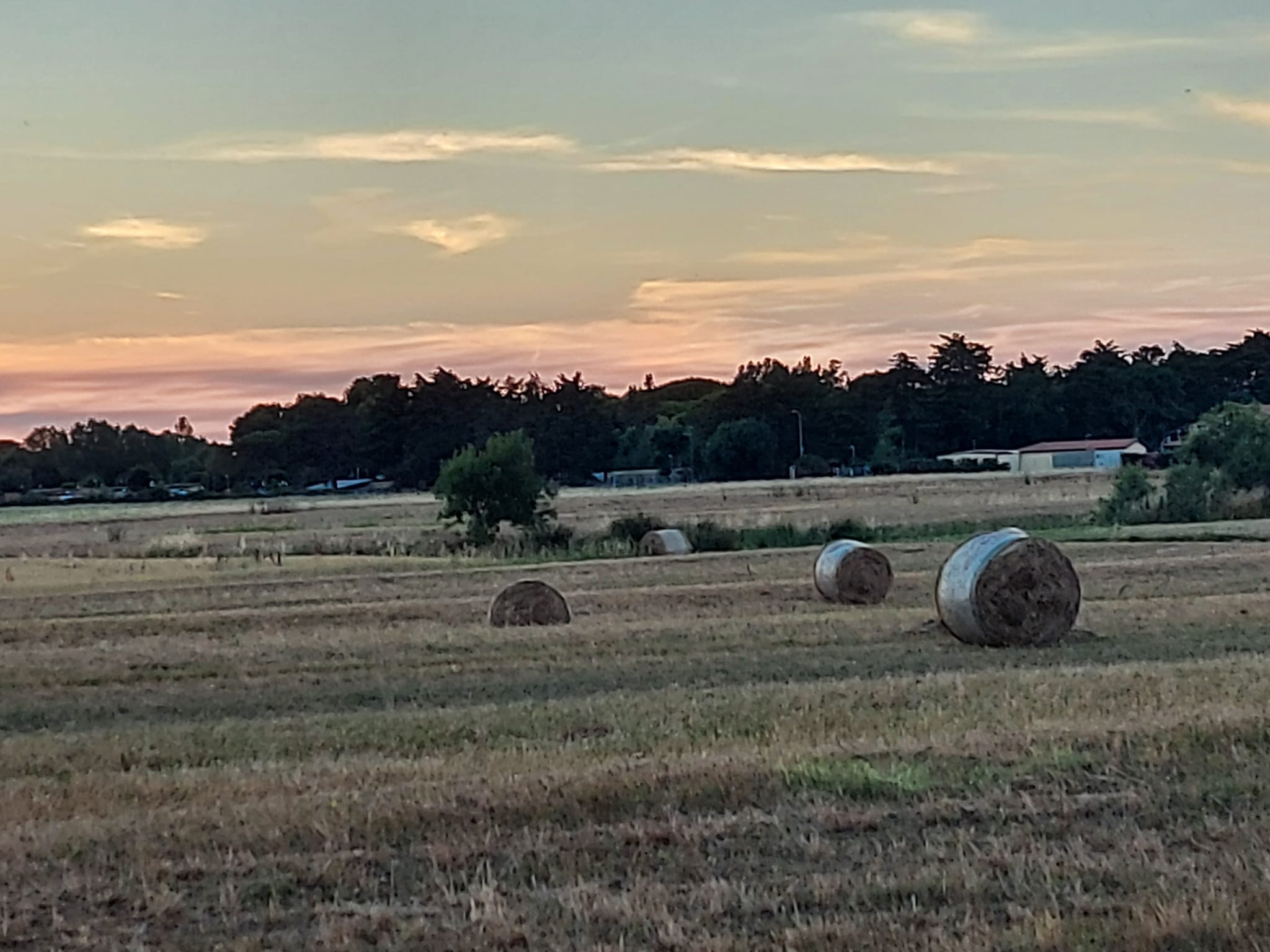 via-libera-alla-nuova-politica-agricola-dellue