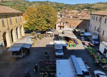 a-m-o-–-arte-marche-oltre