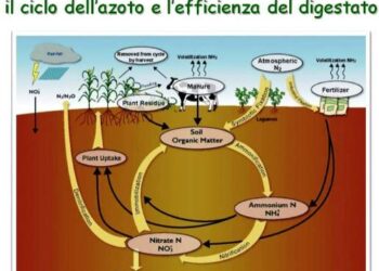il-ruolo-del-digestato-per-contrastare-i-gas-serra