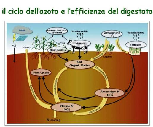 il-ruolo-del-digestato-per-contrastare-i-gas-serra