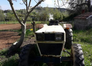 domanda-grafica-superato-lobiettivo-del-75