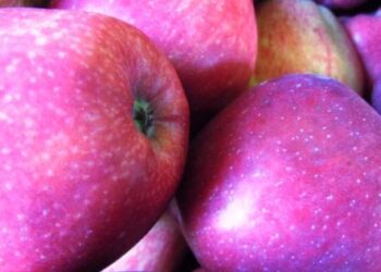 stile-di-vita-donne-piu-attente-degli-uomini