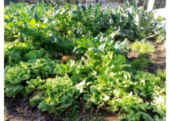 energia-elettrica-crolla-il-consumo-in-lombardia