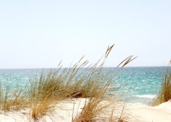 nuove-tecnologie-per-la-difesa-delle-dune-costiere