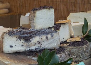 nasce-le-commerce-dedicato-al-mondo-del-formaggio