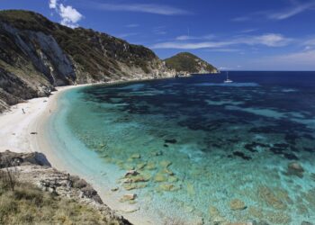 elba-il-progetto-climate-change-days-coinvolge-i-diver-nella-ricerca-scientifica