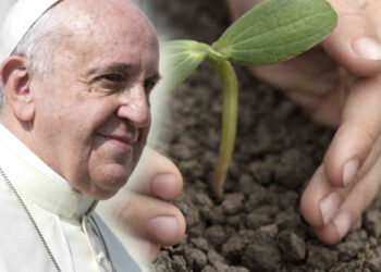 lenciclica-papale-e-lambiente-un-anno-dopo